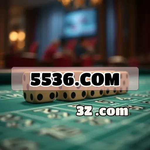 5536.com e Seu Suporte 24/7: Inovação e Compromisso